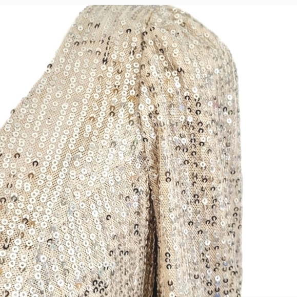 Illena for Mac Duggal silver sequin gown - Picture 9 of 11